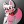 ToyFoxy12345