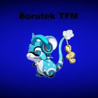 Borutek