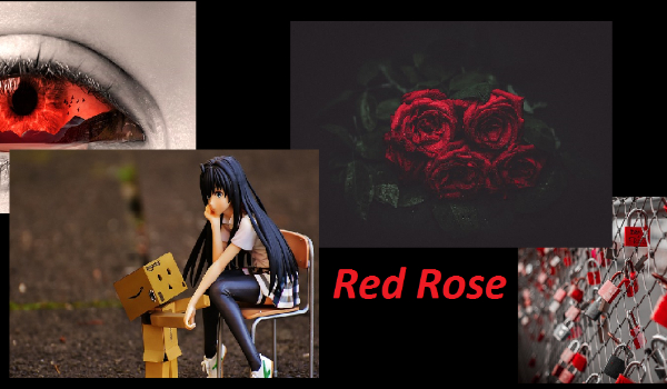 Red Rose #3