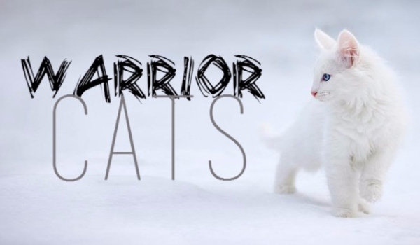 Warrior Cats-Rozdział I