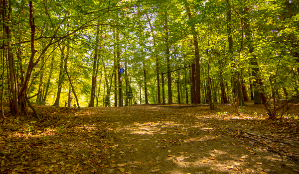 Historia Morderców-S3-#19-List i nowa para