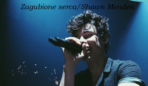 Zagubione serca/Shawn Mendes #1