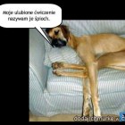 DziewczynaKochaZycie