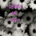 cytaty.na.dzis