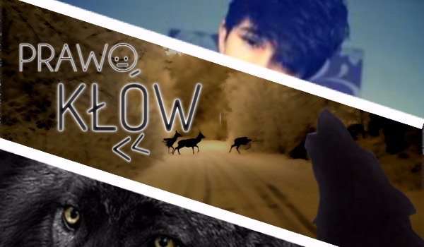 Prawo Kłów  ROZDZ.4