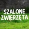 szalonezwierzeta