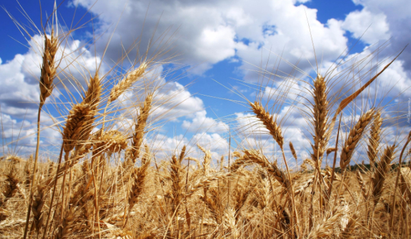 Supernatural alibity #9