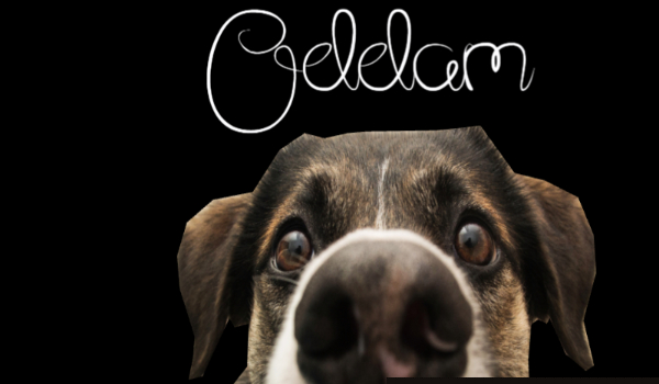 Oddam #5 Mega rozdanie!