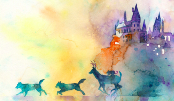 #12 Jestem Emily…   …Potter