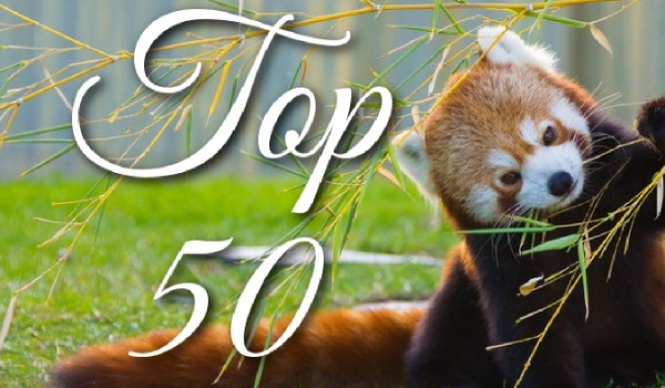 TOP 50-rzeczy z pusheenami