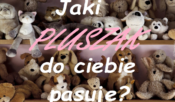 Jaki pluszak do ciebie pasuje?