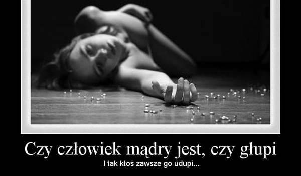 Czy jesteś mądry/głupi?