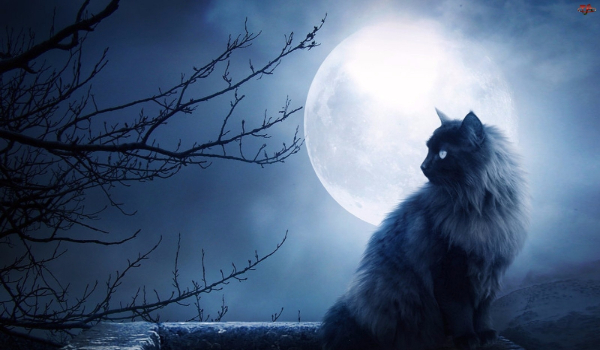 Pocałowana przez księżyc #3 (2)