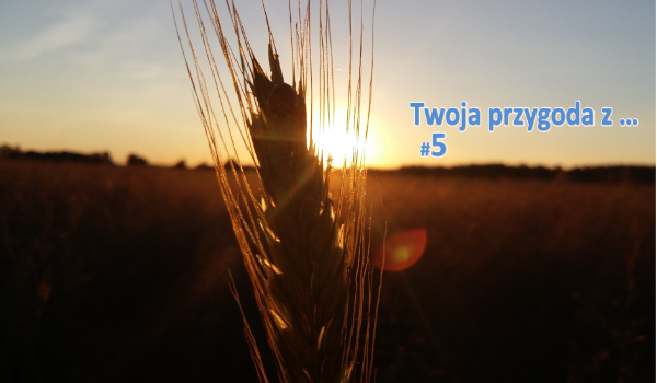 Twoja przygoda z …   #5