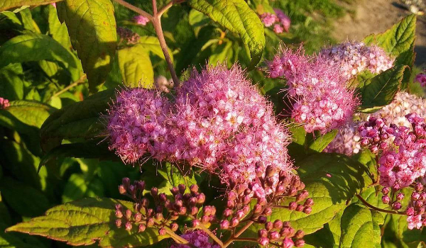 Twoja przygoda z BaM #5