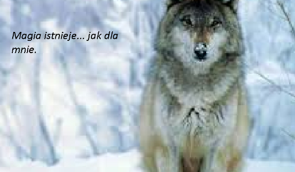 Magia… Istnieje jak dla mnie #16