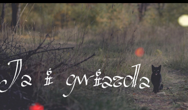 Ja i gwiazda#3
