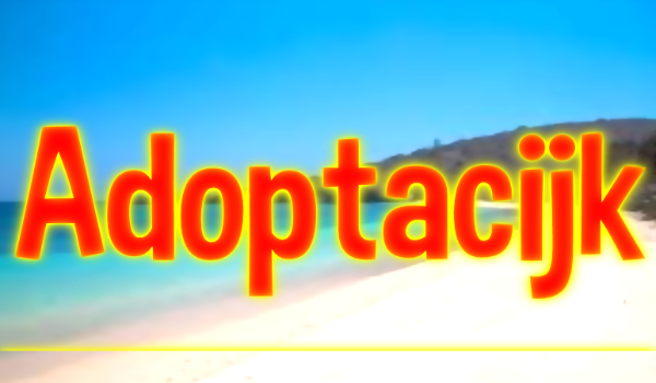 Adoptacijk #2