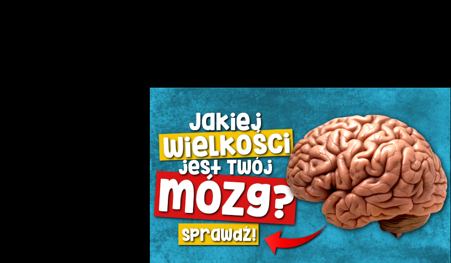 Czy jesteś głupi