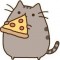 PusheenTheCatt