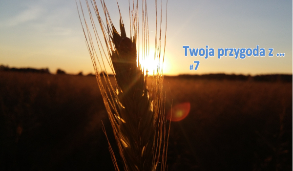 Twoja przygoda z …  #7 The End