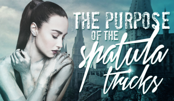 The purpose of the spatula tricks #8