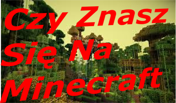 Czy Znasz SIe Na Minecraft