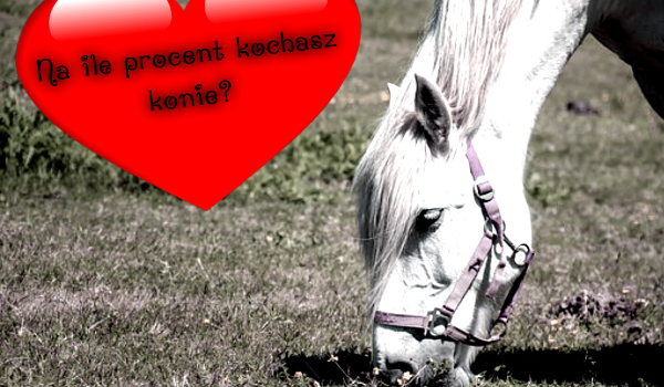 Czy twoja milość do koni jest prawdziwa?
