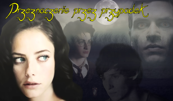 Przeznaczenie przez przypadek #2