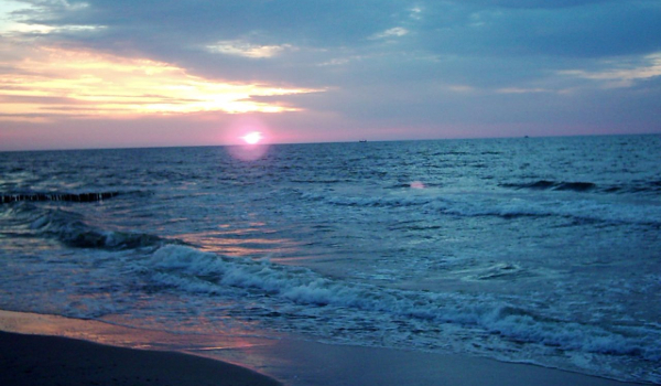 Jakie będą twoje wakacje?