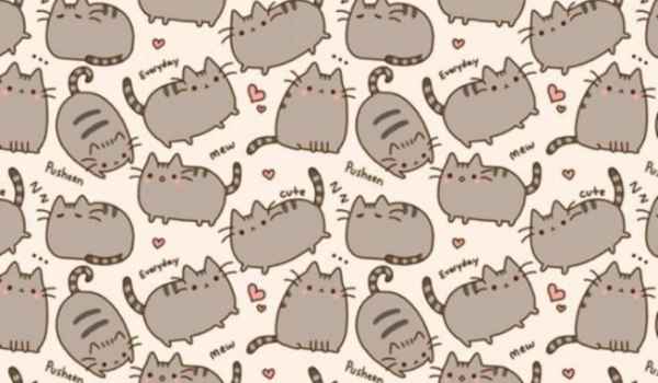 Mój Pusheen- na konkurs @Pliszka96.