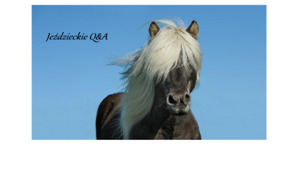 Q&A o pasji jeździeckiej!