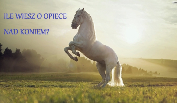 Ile wiesz o opiece nad koniem?