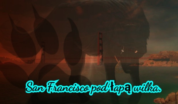 San Francisco pod łapą wilka #1