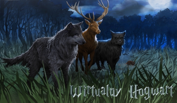 Miniaturka dla Czekoladka2001