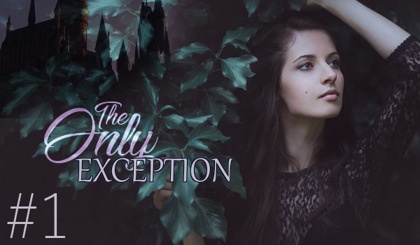 The Only Exception #1