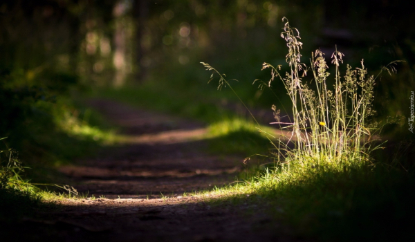 To nie koniec marzeń – 2