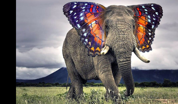 Konkurs(z. Mi rysunki) sp