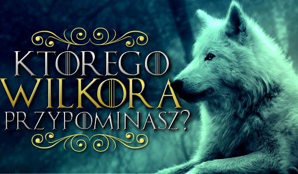 Którego wilkora przypominasz?