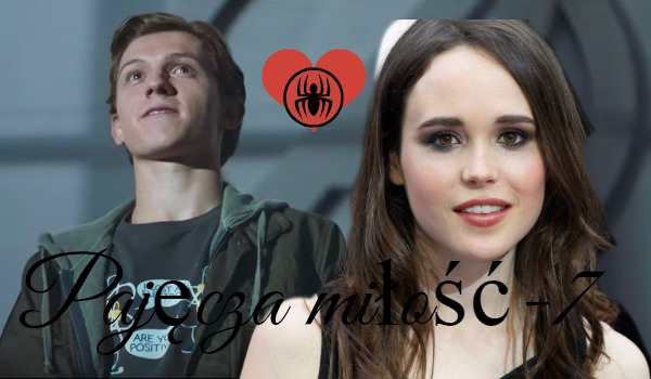 Pajęcza miłość- 7