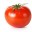 pomidor12