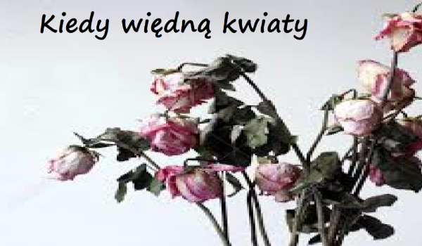 Kiedy więdną kwiaty #3