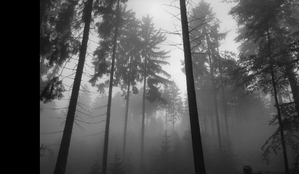 Dream City is Real #3