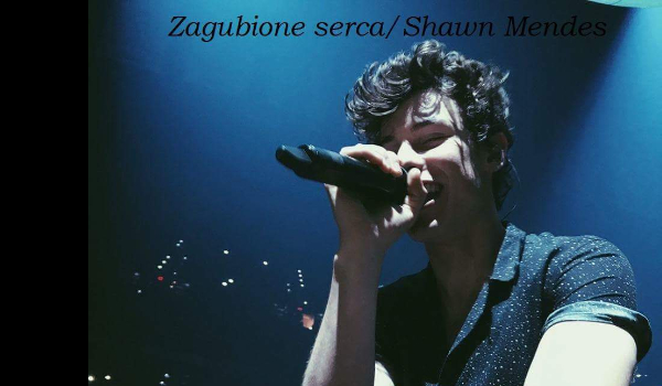 Zagubione serca/Shawn Mendes #3