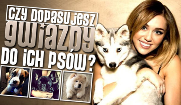 Czy dopasujesz gwiazdy do ich psów?