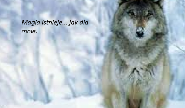 Magia… Istnieje jak dla mnie #20