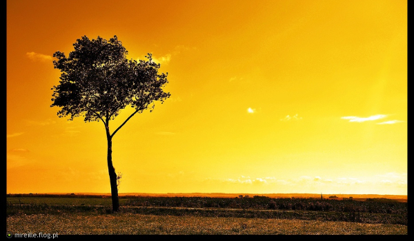 Praca na konkurs u @Zwierzakowa.