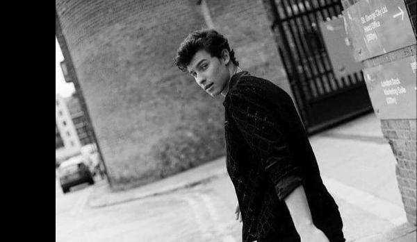 Shawn Mendes- a new adventure with you #Prolog
