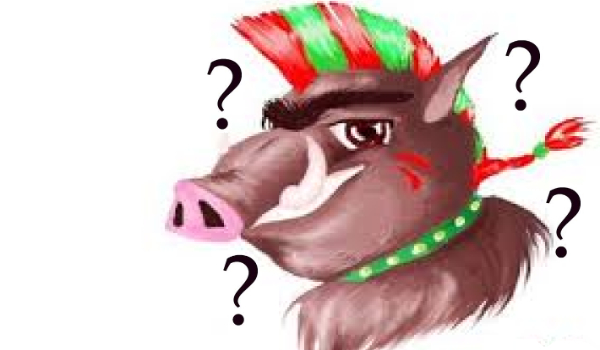 czy jesteś guźcem???