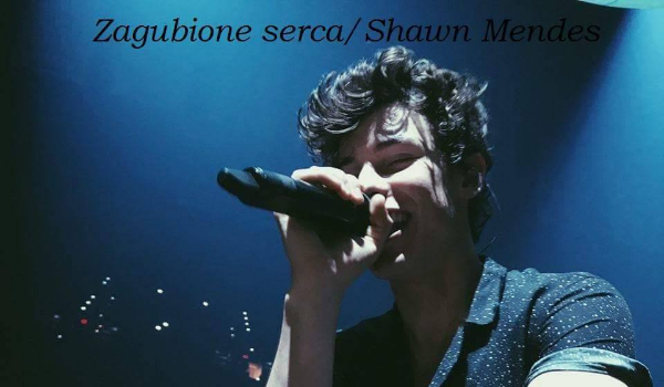 Zagubione serca/Shawn Mendes #2